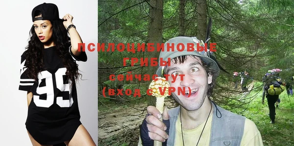 эйфоретик Верхний Тагил